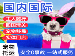 昆明长水机场邮寄国际宠物托运 【国